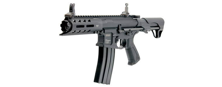Страйкбольный автомат G&G ARP556 V2S BODY (EGC-ARP-556-BNB-NCM)